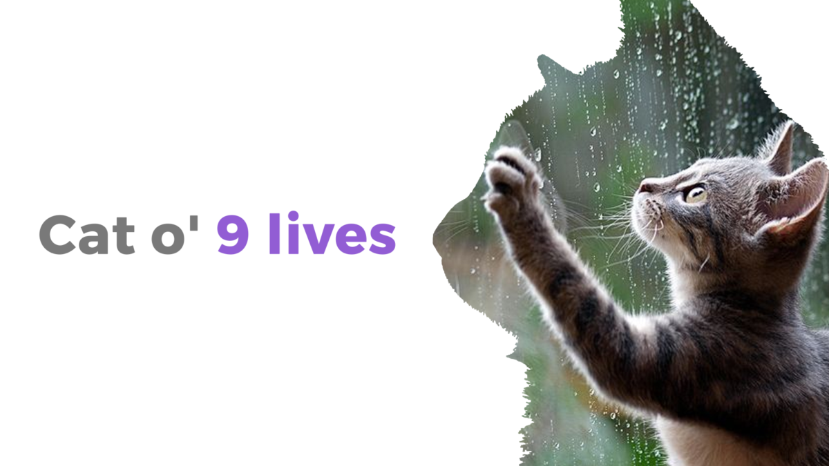 cat-o-9-lives-1200x675.png